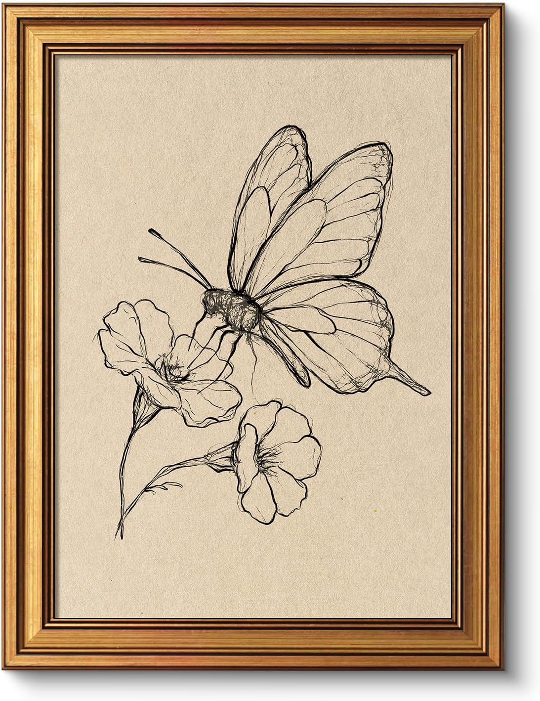 Vintage Gold Framed Wall Art, Sketch Birds Canvas Painting, Cute but Exquisite Wall Decor, No Glass No Glare, Suitable for Bedside Tables, Foyer, Bookshelves,【Hummingbird】-10L x 8W