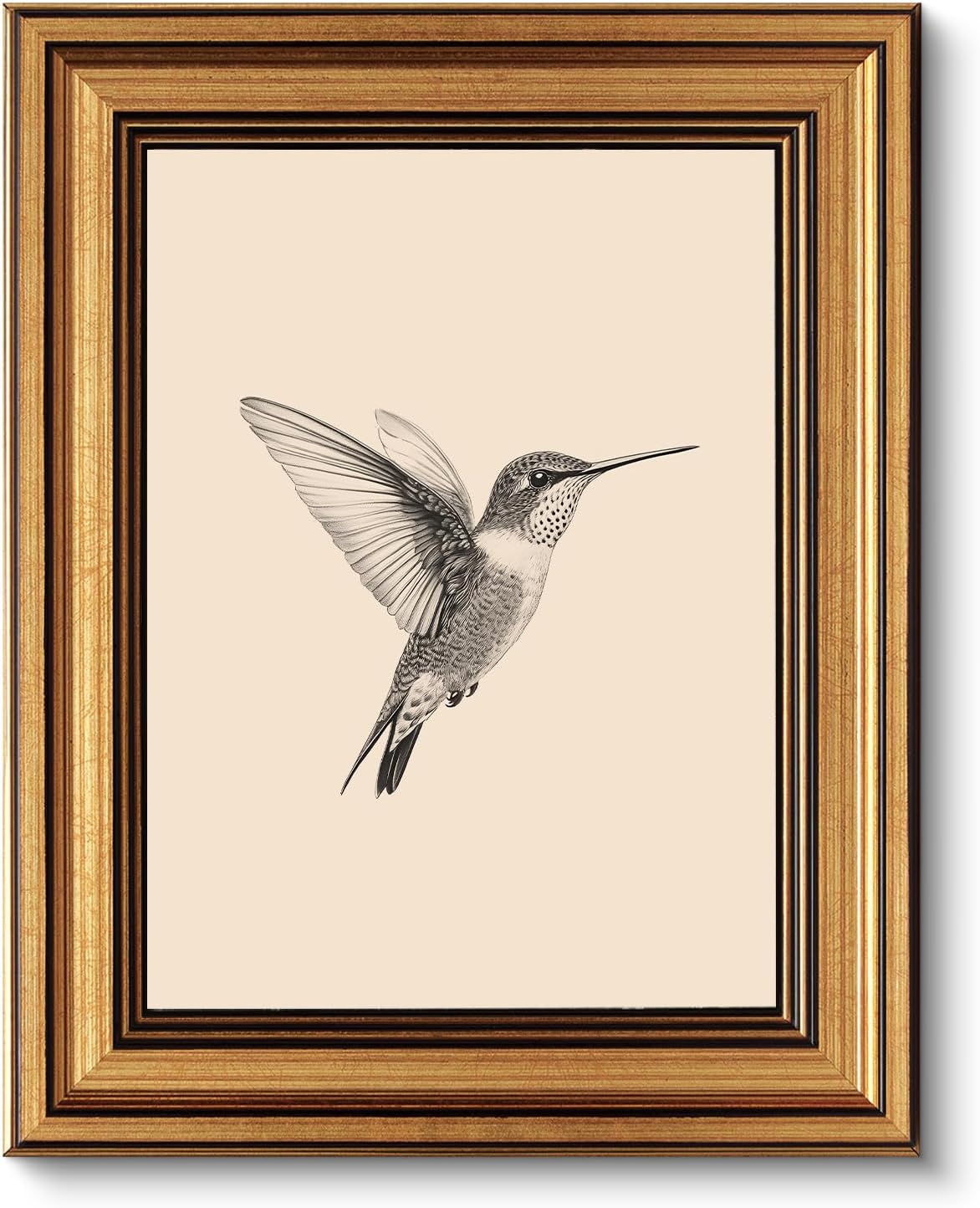 Vintage Gold Framed Wall Art, Sketch Birds Canvas Painting, Cute but Exquisite Wall Decor, No Glass No Glare, Suitable for Bedside Tables, Foyer, Bookshelves,【Hummingbird】-10L x 8W