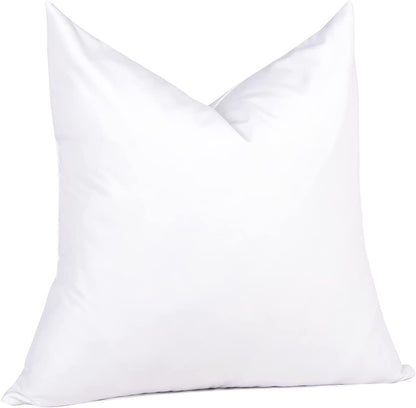 puredown® Feather Down Throw Pillow Inserts 22 x 22 (Pack of 2, White), Big Throw Pillows for Floor, Couch, Bed, Machine Washable